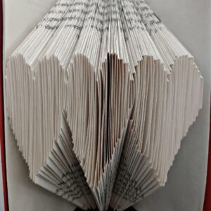 Introduction to Book Folding - November